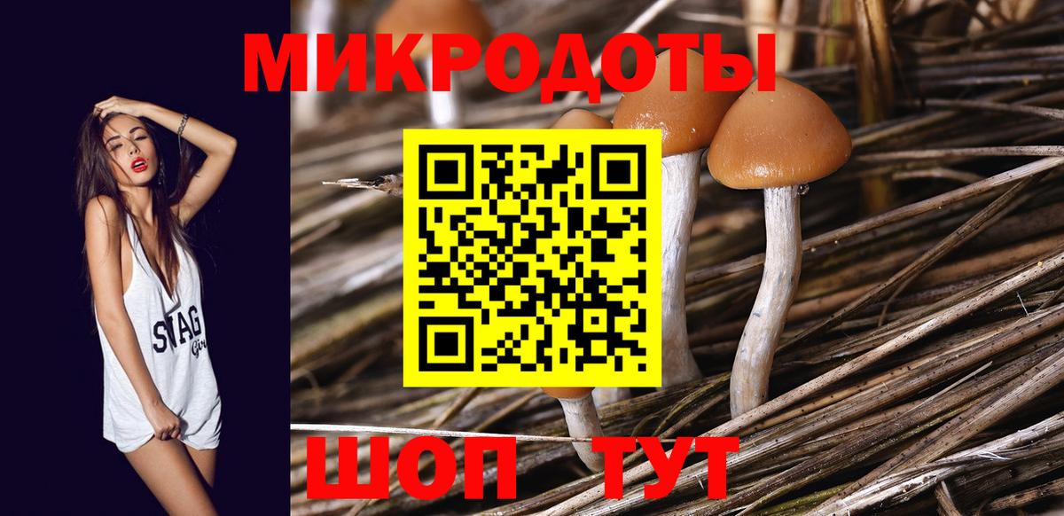 Галлюциногенные грибы прущие грибы  Вход с VPN  Морозовск  Галлюциногенные грибы MAGIC MUSHROOMS 