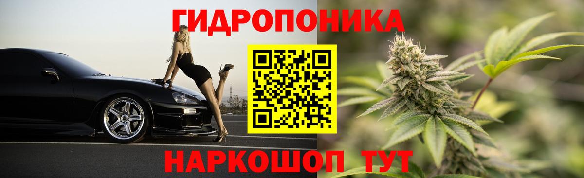 Конопля гибрид Морозовск